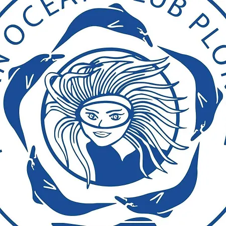 Daire Mobil Luxueux 40m2 - 3ch - 4 Etoiles 79 - La Pignade