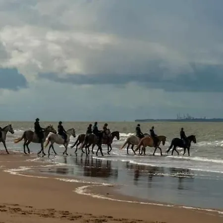 Mobil Luxueux 40m2 - 3ch - 4 Etoiles 79 - La Pignade La Tremblade