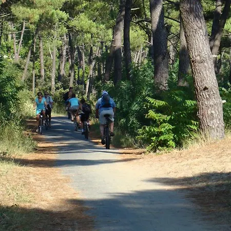 Mobil Luxueux 40m2 - 3ch - 4 Etoiles 79 - La Pignade La Tremblade